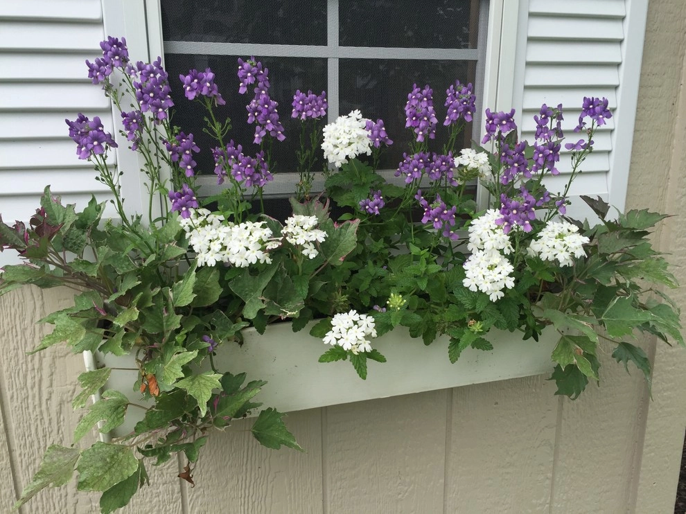 Annuals by Coastal Concepts - Photo 8