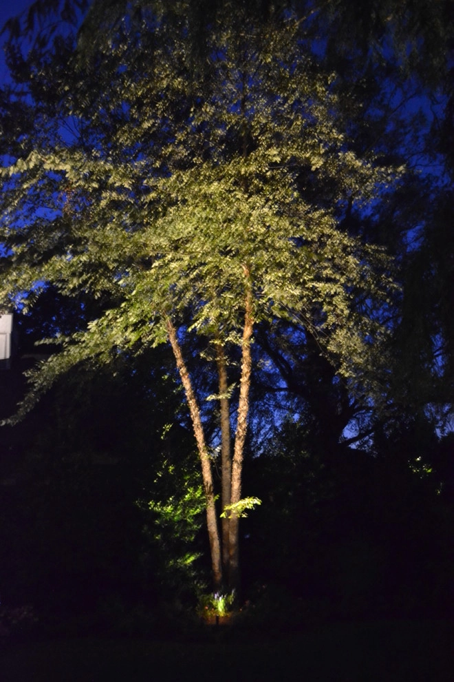 Lighting by Coastal Concepts - Photo 23