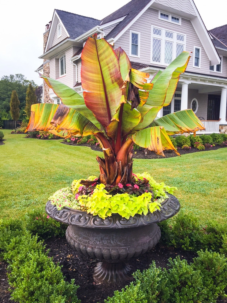 Annuals by Coastal Concepts - Photo 9