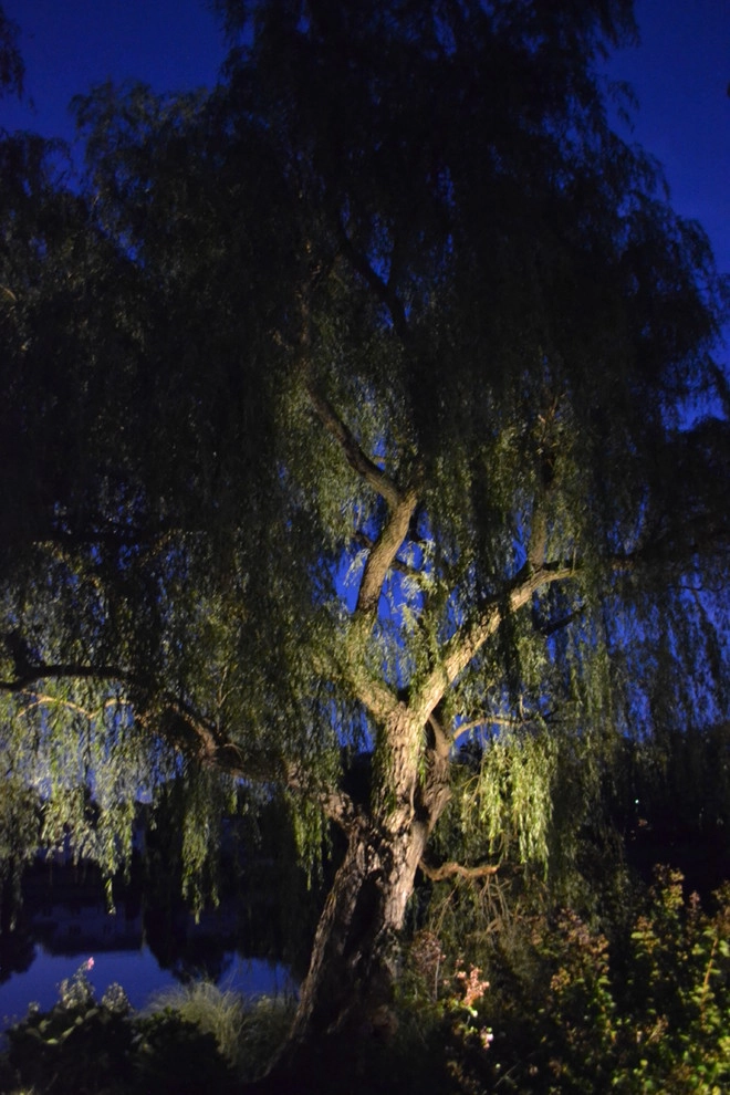 Lighting by Coastal Concepts - Photo 20