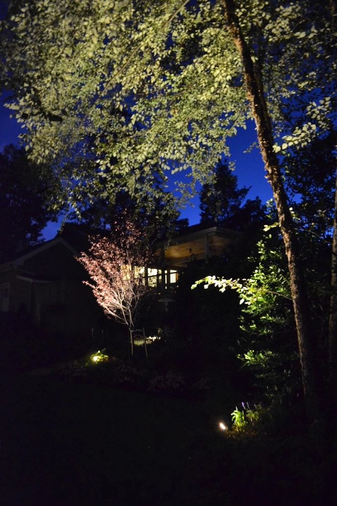 Lighting by Coastal Concepts - Photo 26
