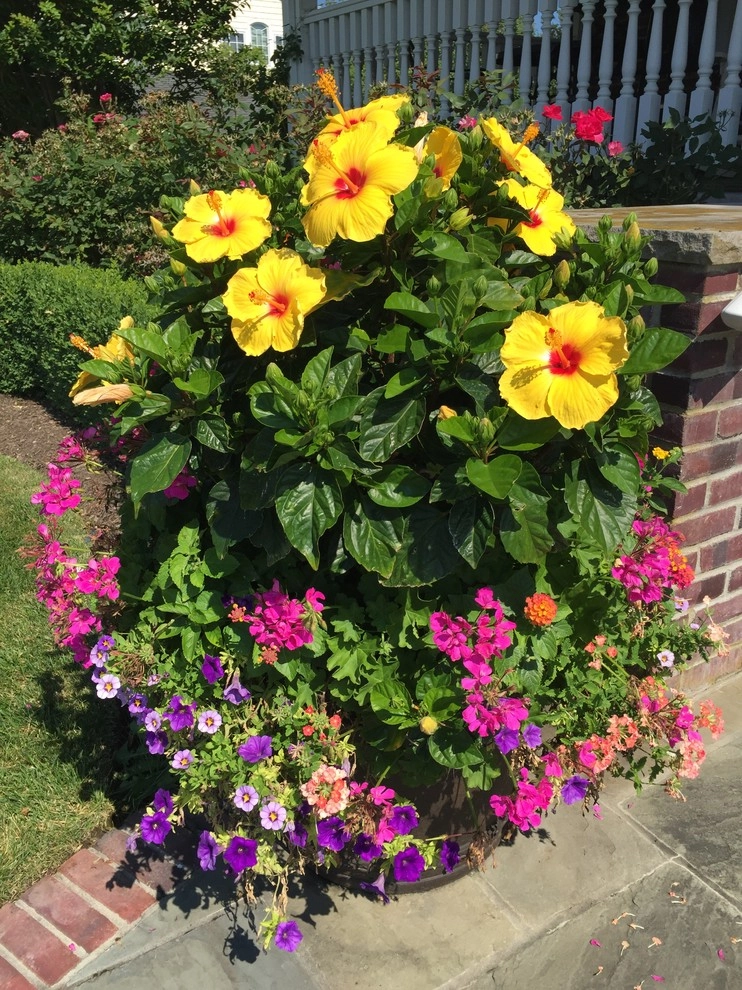 Annuals by Coastal Concepts - Photo 4
