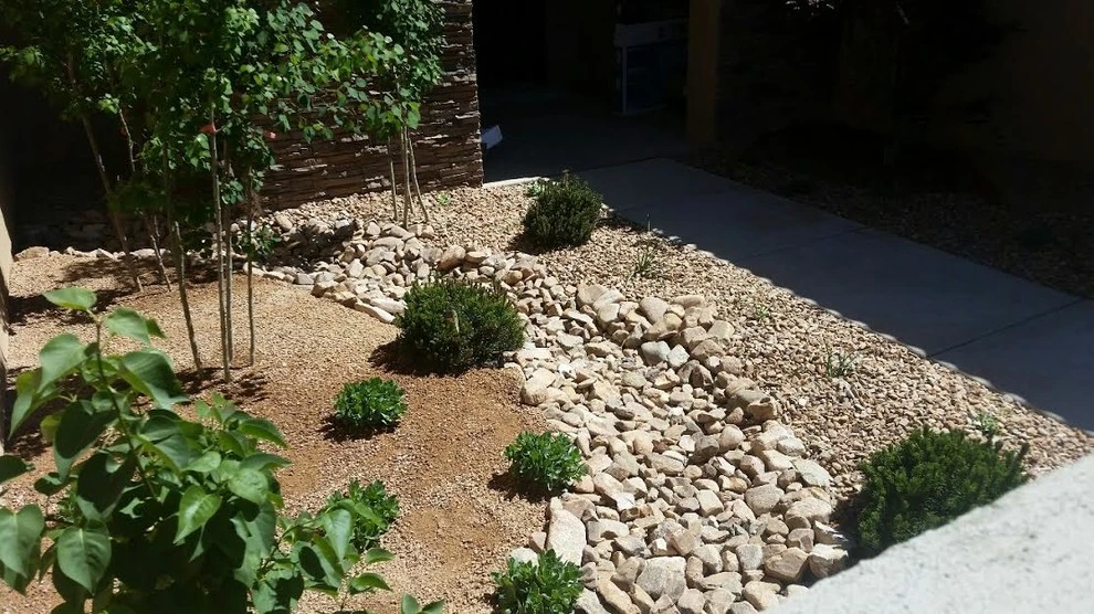 Xeriscape by Outdoor Creations Unlimited - Photo 2