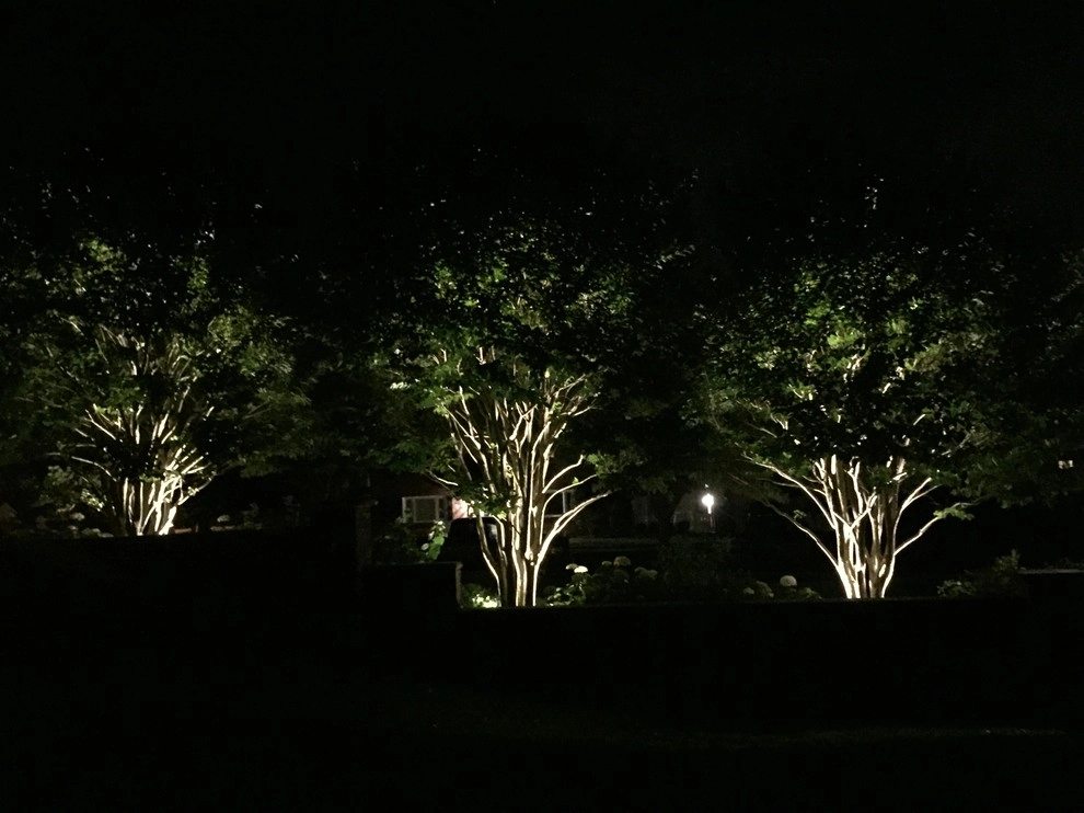 Lighting by Coastal Concepts - Photo 10