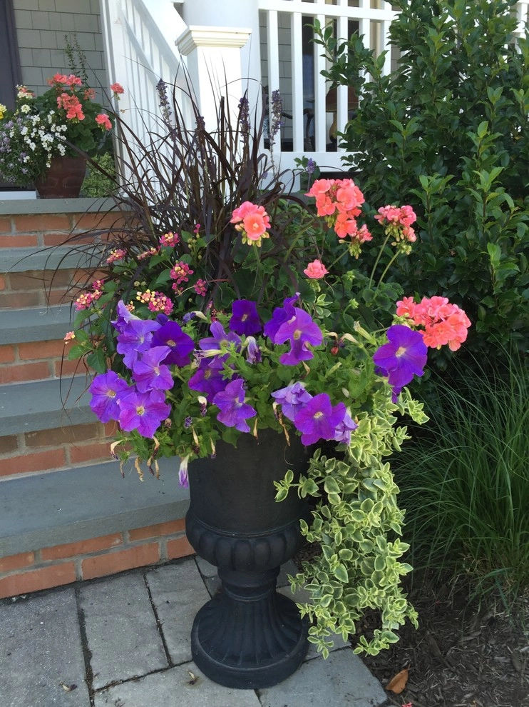 Annuals by Coastal Concepts - Photo 11