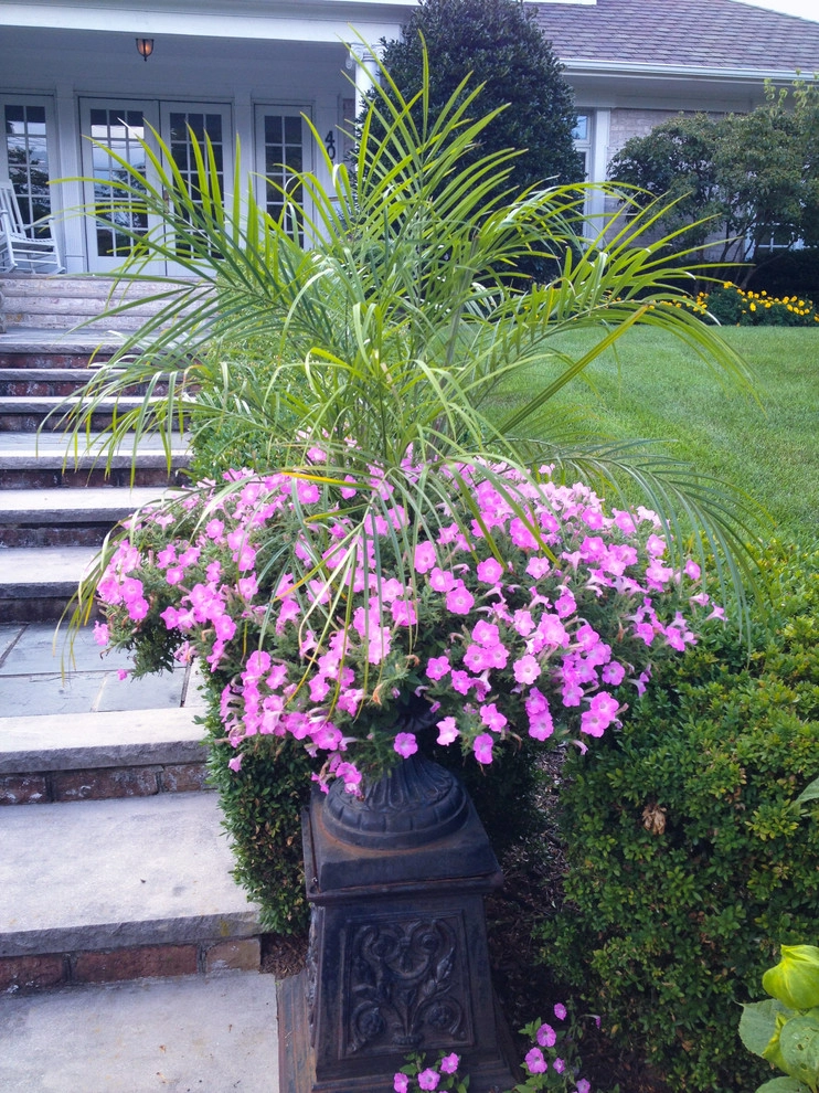 Annuals by Coastal Concepts - Photo 7