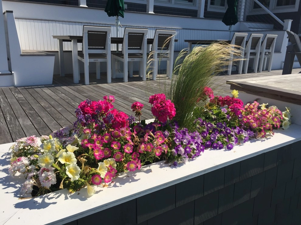 Annuals by Coastal Concepts - Photo 12