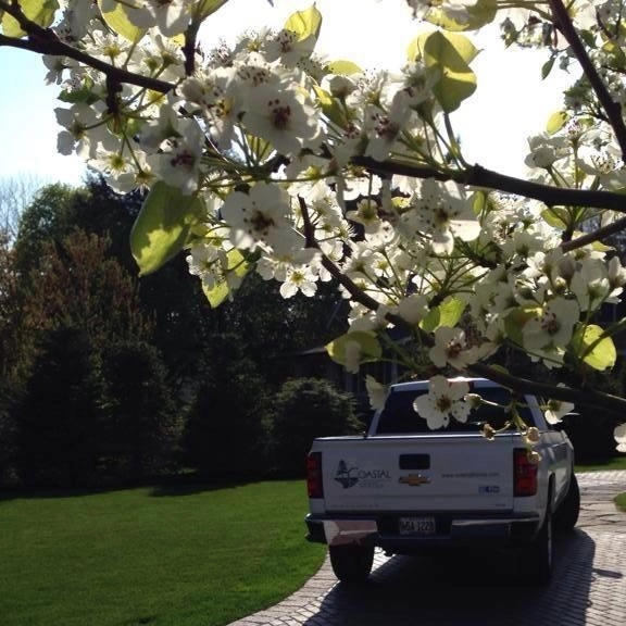 Driveway Renovations by Coastal Inc. - Photo 2