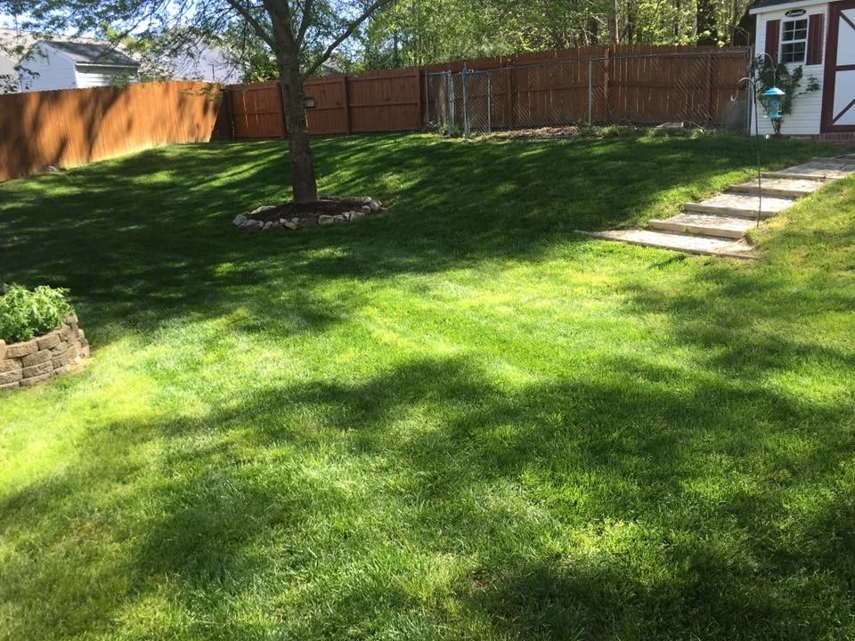 Mocho Lawn Care And Landscaping - Photo 10