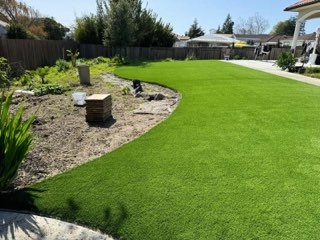 Bay Area Lawn Care Inc by Art Of Turf Inc - Photo 5