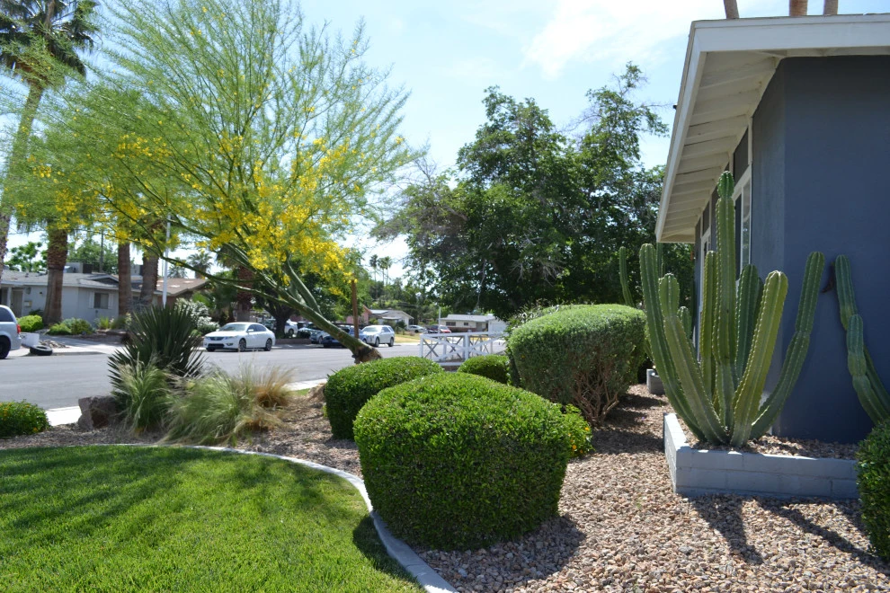 Old Vegas Mid Century Pool & Cabanna by Pacific Landscape - Photo 17