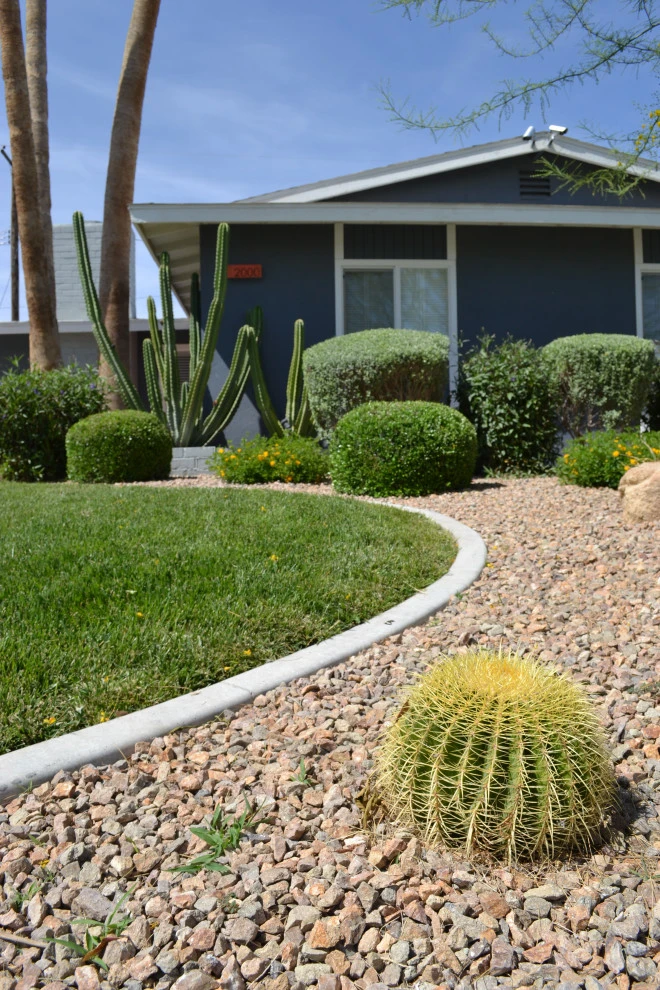 Old Vegas Mid Century Pool & Cabanna by Pacific Landscape - Photo 14