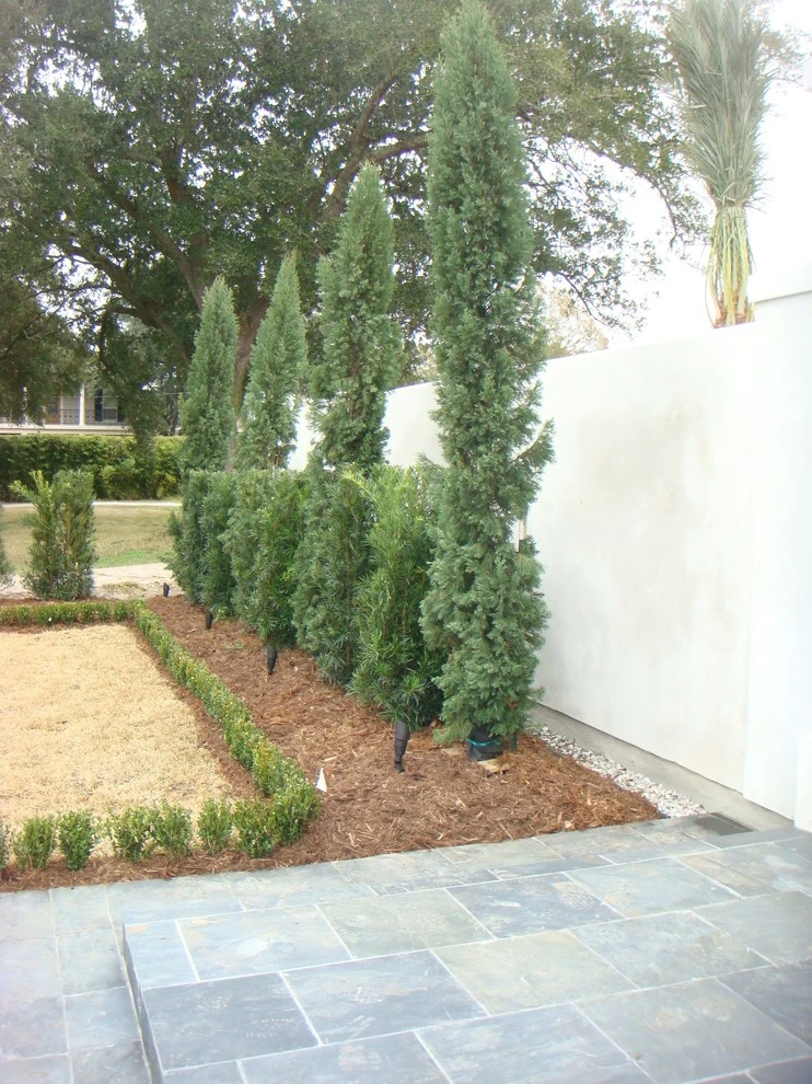 Palm Garden Depot - Photo 6