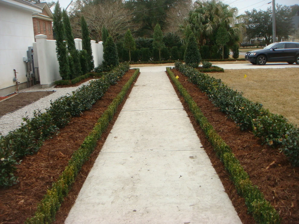 Palm Garden Depot - Photo 2