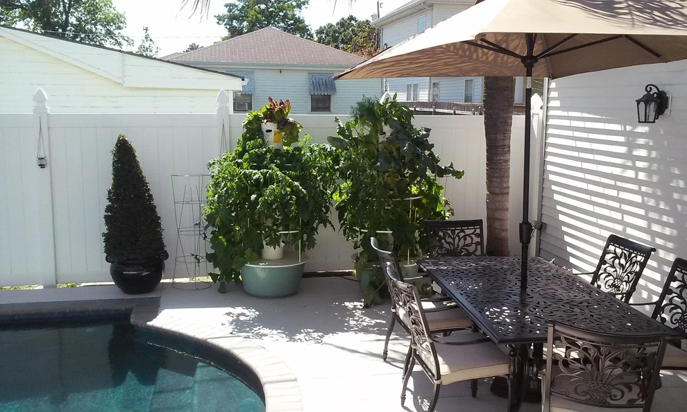 Palm Garden Depot - Photo 5