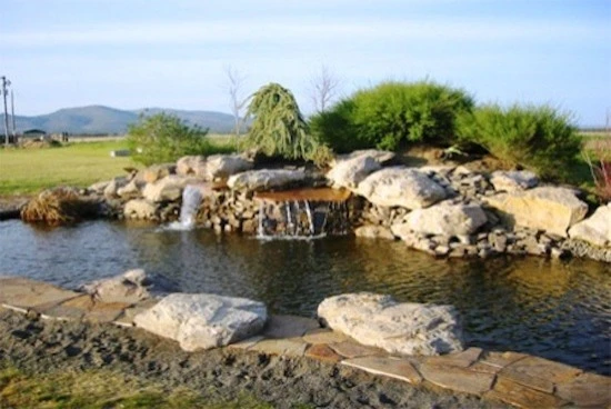 Water Features by Perfect Earth Landscaping & Design LLC - Photo 7