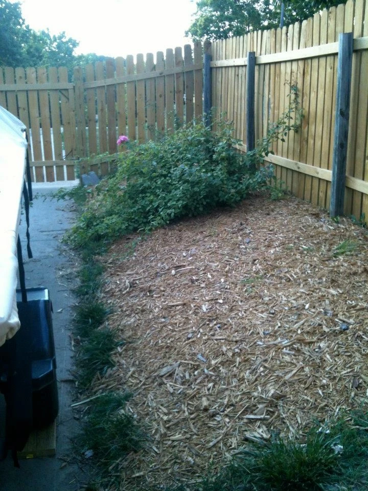 Perfect T Landscaping, LLC - Photo 6