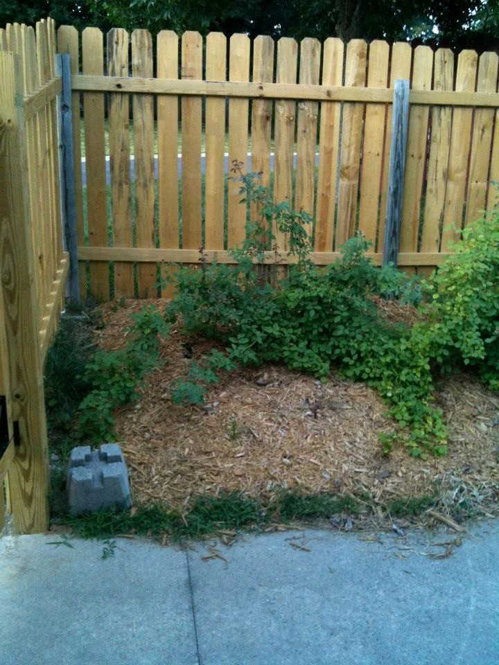 Perfect T Landscaping, LLC - Photo 2