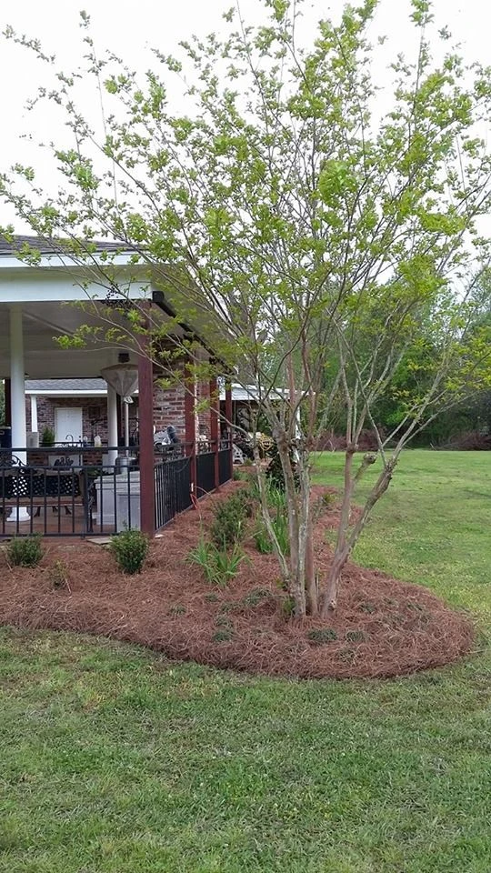 Picture Perfect Places Landscaping & Lawn Care - Photo 10