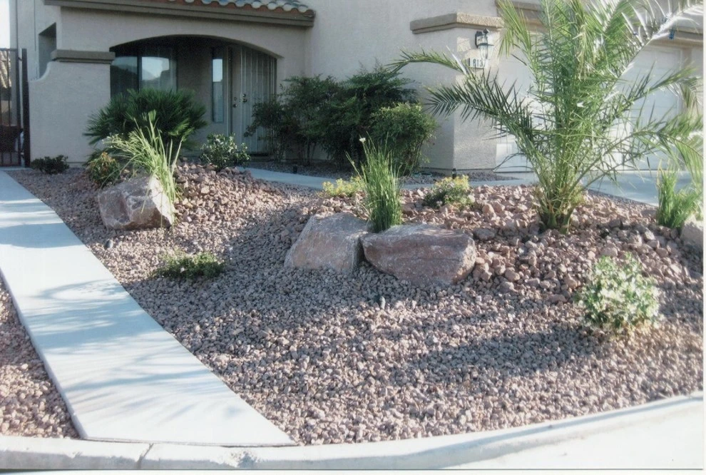 Drought Tolerant by Pierros Landscape And Maintenance - Photo 7