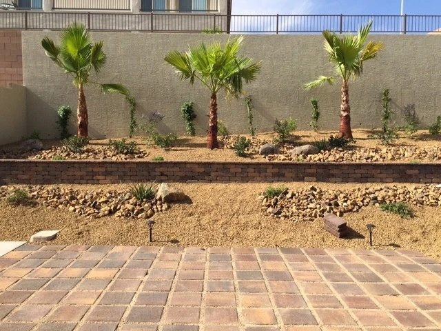 Drought Tolerant by Pierros Landscape And Maintenance - Photo 14