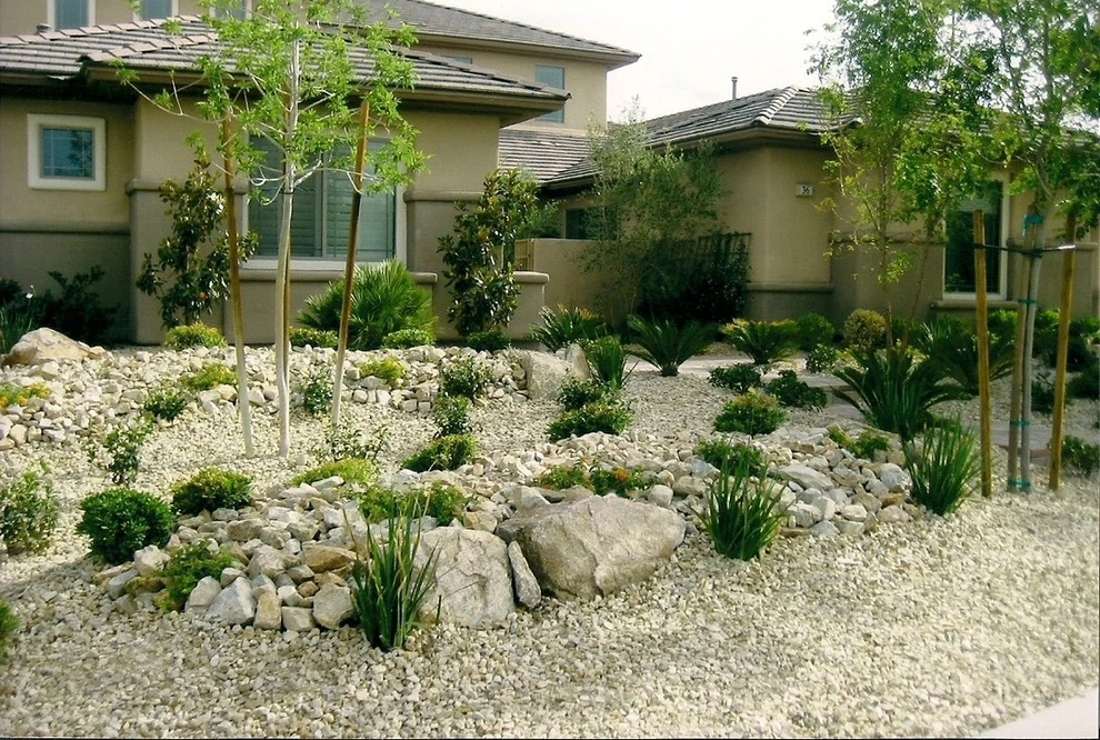Drought Tolerant by Pierros Landscape And Maintenance - Photo 5