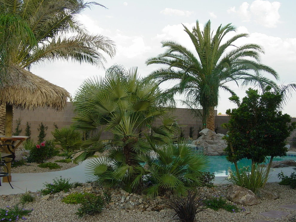 Water Features by Pierros Landscape And Maintenance - Photo 2