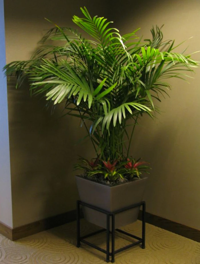 Plant Professor - Photo 3