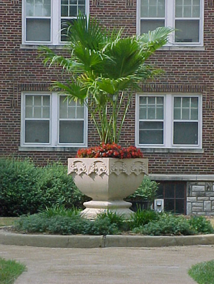 Plant Professor - Photo 7