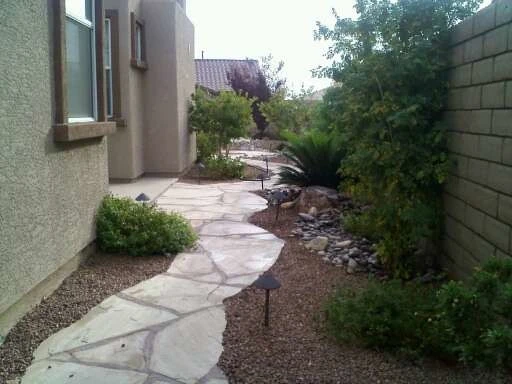 Plant Wise Landscaping - Photo 9