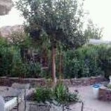 Plant Wise Landscaping - Photo 4