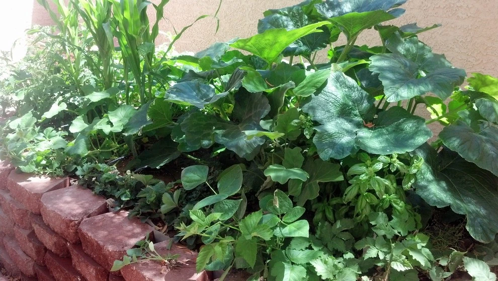 Plant Wise Landscaping - Photo 7