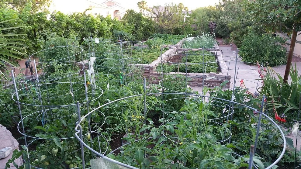 Plant Wise Landscaping - Photo 12