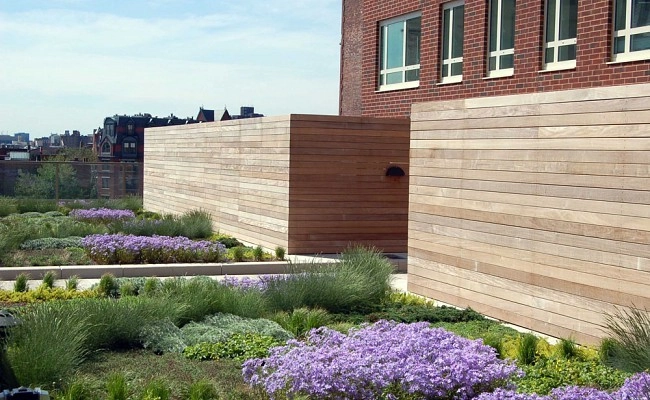 Copley Wolff Design Group - Photo 5