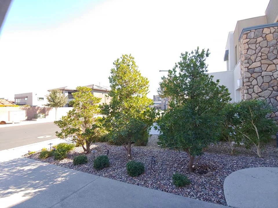 Residence 3 by Mojave Land Maintenance - Photo 2