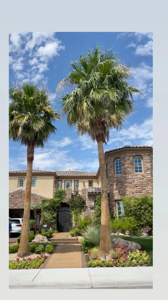 Yearly palm tree service in the palm trees. by Mojave Land Maintenance - Photo 2