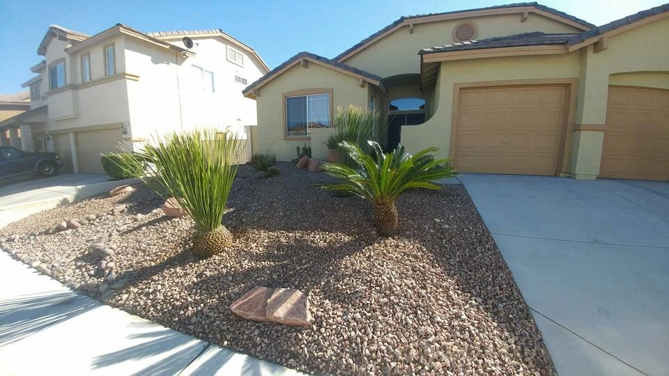 Drought Tolerant by Mojave Land Maintenance - Photo 9
