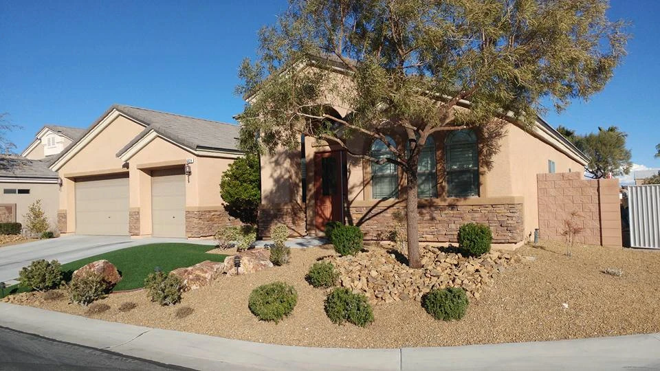 Drought Tolerant by Mojave Land Maintenance - Photo 2