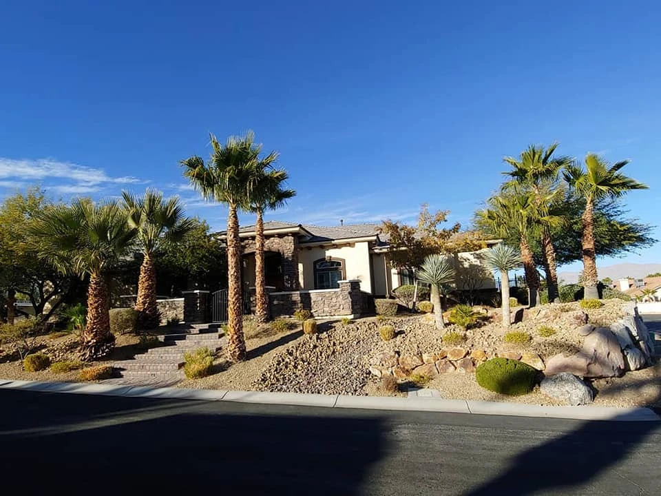 Drought Tolerant by Mojave Land Maintenance - Photo 3