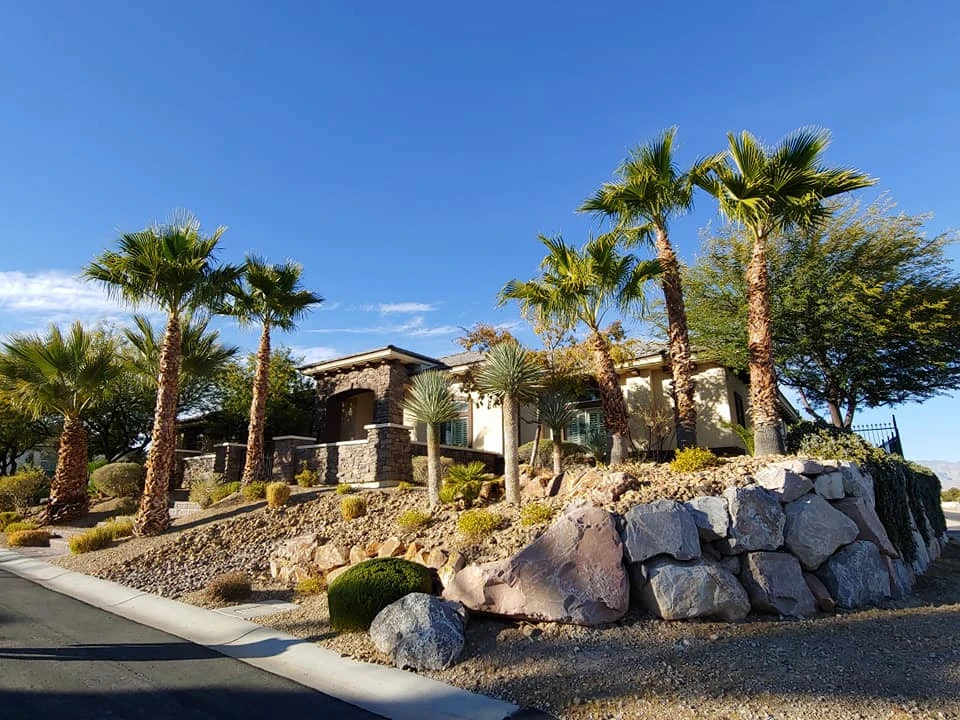 Drought Tolerant by Mojave Land Maintenance - Photo 6