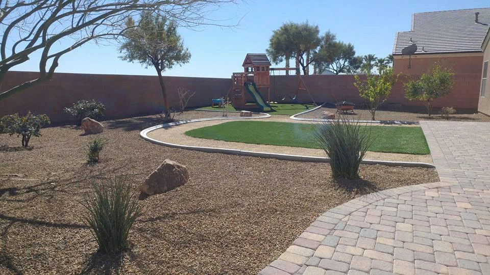 Drought Tolerant by Mojave Land Maintenance - Photo 10