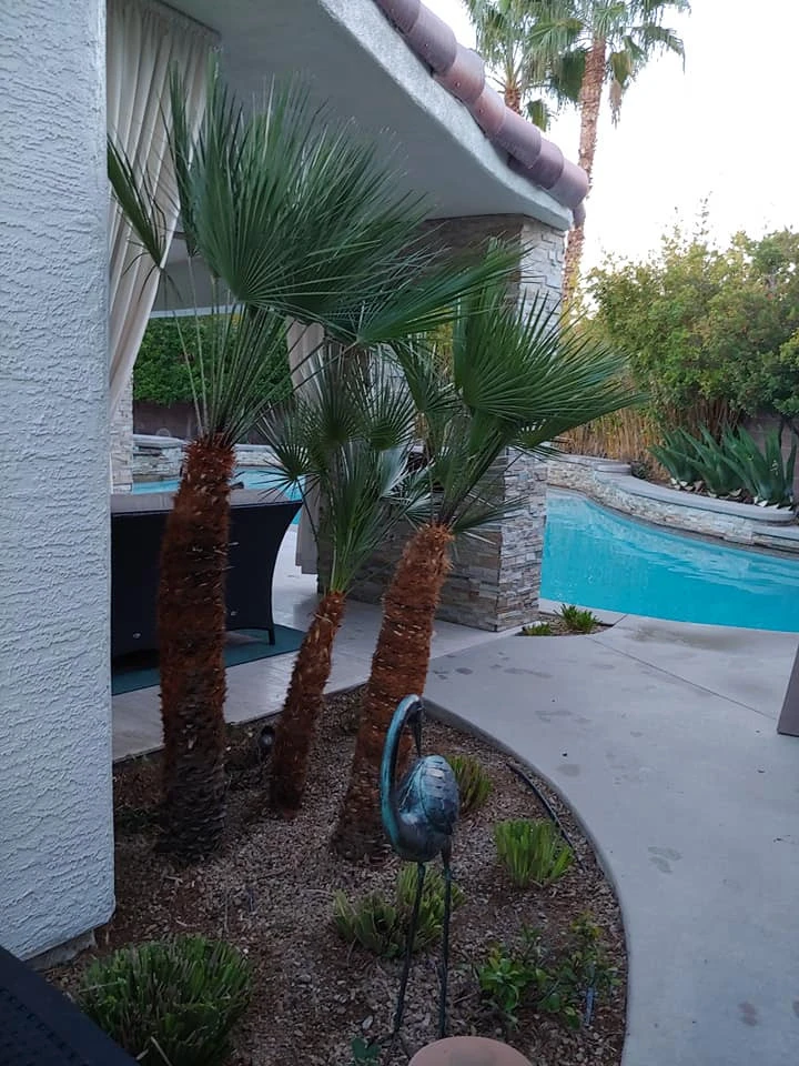 Mojave Land Maintenance - Photo 2