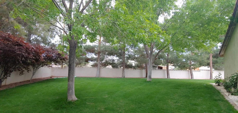 Yard Maintenance by Mojave Land Maintenance - Photo 15