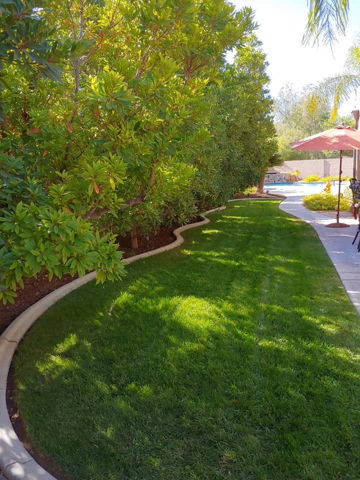 Yard Maintenance by Mojave Land Maintenance - Photo 11