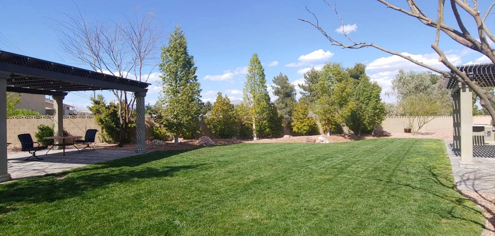 Yard Maintenance by Mojave Land Maintenance - Photo 3