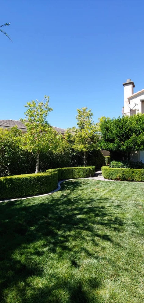 Yard Maintenance by Mojave Land Maintenance - Photo 6