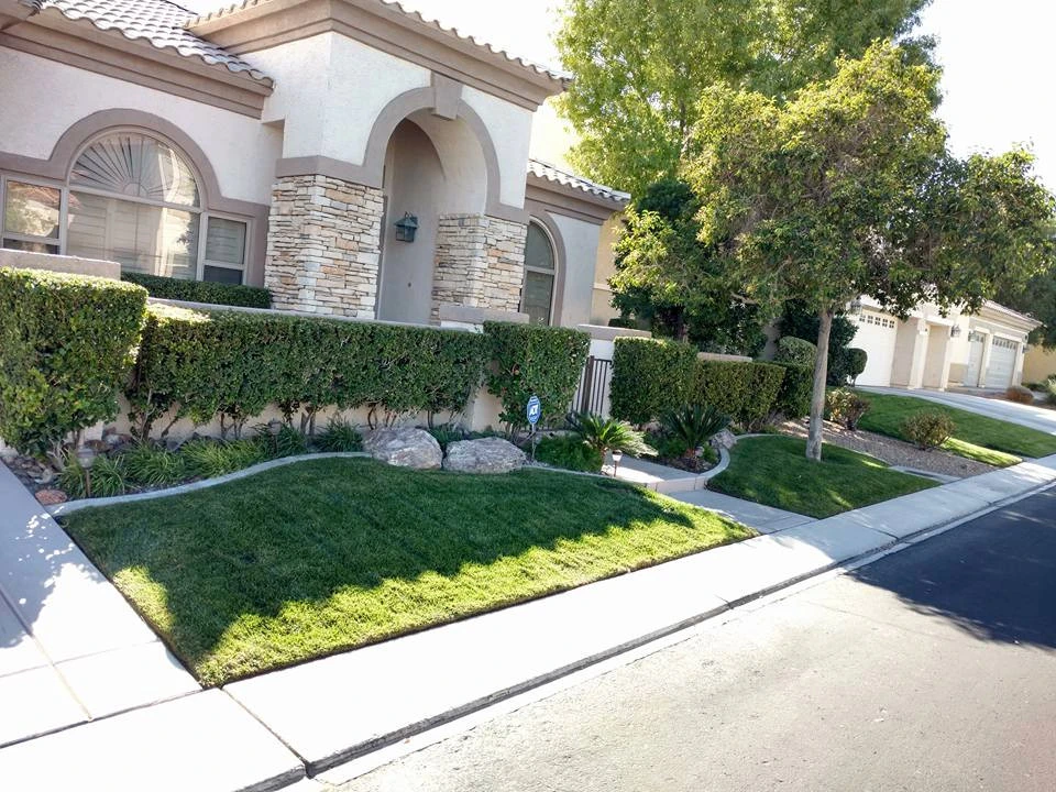 Yard Maintenance by Mojave Land Maintenance - Photo 16