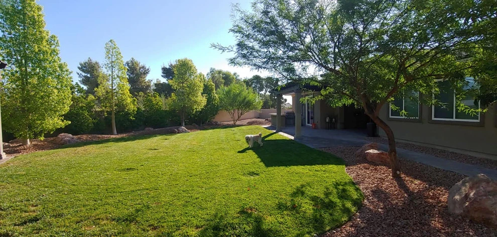 Yard Maintenance by Mojave Land Maintenance - Photo 5