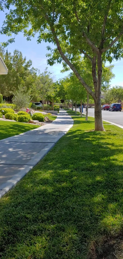 Yard Maintenance by Mojave Land Maintenance - Photo 2