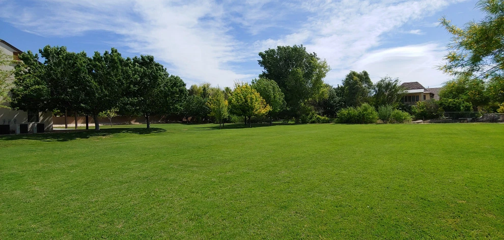 Yard Maintenance by Mojave Land Maintenance - Photo 10